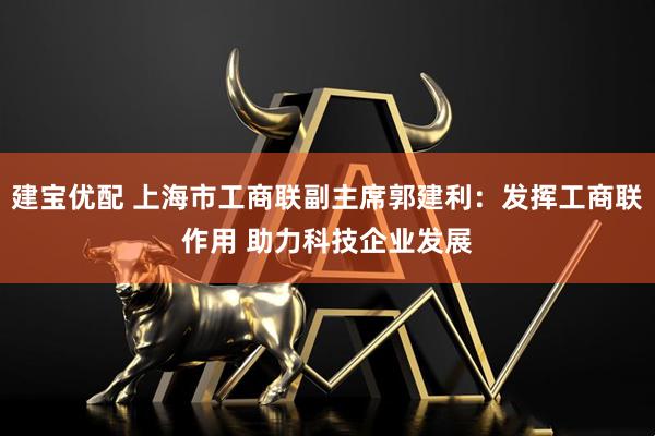 建宝优配 上海市工商联副主席郭建利：发挥工商联作用 助力科技企业发展