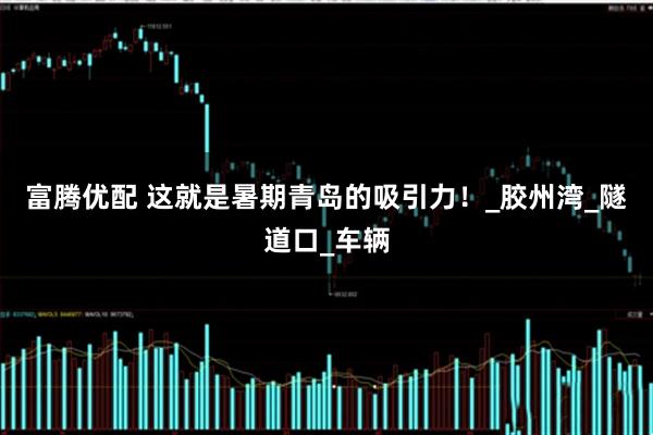 富腾优配 这就是暑期青岛的吸引力！_胶州湾_隧道口_车辆