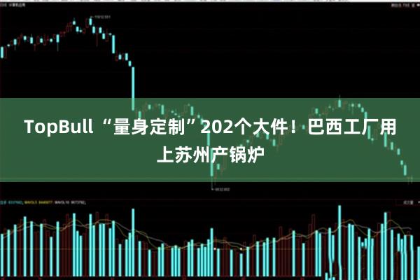 TopBull “量身定制”202个大件！巴西工厂用上苏州产锅炉