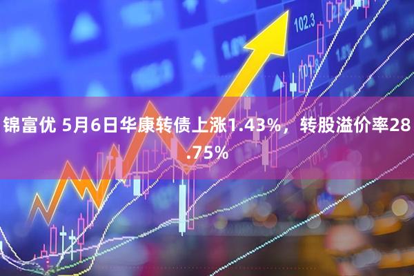 锦富优 5月6日华康转债上涨1.43%，转股溢价率28.75%