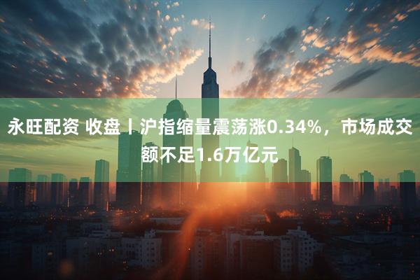 永旺配资 收盘丨沪指缩量震荡涨0.34%,市场成交额不足1.6万亿元